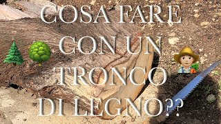 Cosa Fare con un Tronco di legno  TagliereFioriera what to do with a wooden log  planter [upl. by Blanchard]