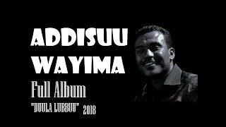 1HR ADDISU WAYYIMA OLD SONG FULL ALBUM quotDUULA LUBBUUquot [upl. by Korwin]