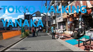 TOKYO WALKING YANAKA 谷中ぶらり歩き [upl. by Ennaer237]