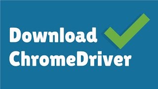 Download ChromeDriver for Selenium [upl. by Eceela512]