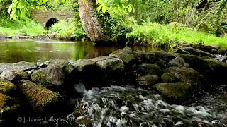 Environmental Ambient Nature Sounds  Relaxing Forest Environment Babbling Brook Water Fall Ambience [upl. by Razid]