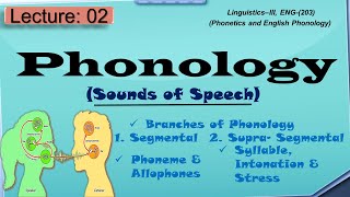 Phonology  What is phonology and its branches [upl. by Ynavoeg]