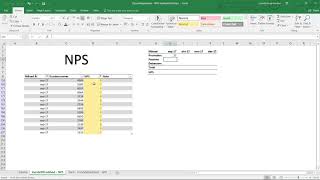 NPS i Excel [upl. by Ecyla]