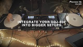 Pioneer DDJ 800 [upl. by Goltz]