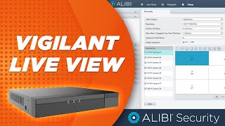 Alibi Vigilant  How To  Live View Settings [upl. by Getter]