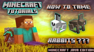 How to tame Rabbits in Minecraft [upl. by Ynohtn]