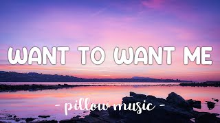 Want To Want Me  Jason Derulo Lyrics 🎵 [upl. by Neile]