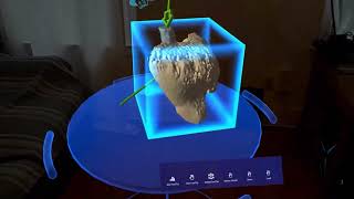 Collaborative Environment with Microsoft HoloLens 2 [upl. by Goodard]