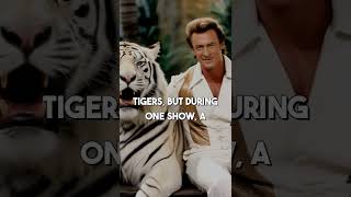 Siegfried amp Roy’s Tiger Attack What Really Happened Behind the Shocking Vegas Incident [upl. by Amadas662]