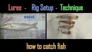 HOW TO CATCH  Whiting on Surface Lures [upl. by Grimbald149]