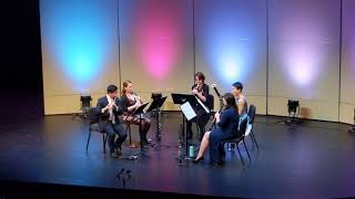 Allegro from Carl Nielsens Wind Quintet Op43 [upl. by Mook]