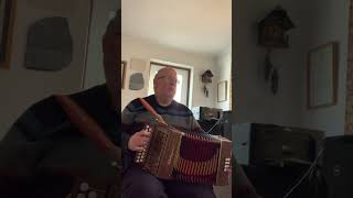 “The Princess Royal” Melodeon [upl. by Gabie899]