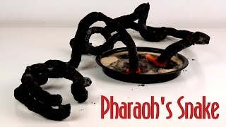 Amazing Black Pharaohs Snake  3 Pharaohs Serpent Science Experiment [upl. by Thornburg]