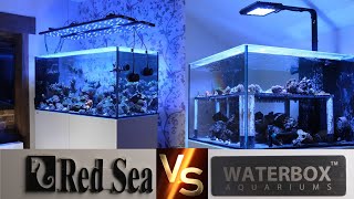 Red Sea Reefer vs Waterbox Aquariums Which Is Better [upl. by Ralyks781]