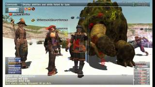 Adamantoise FFXI [upl. by Rolan]