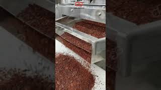 Cocoa Bean Cracker and Winnower Machine Cracking and Winnowing Cocoa Beans [upl. by Lucian]