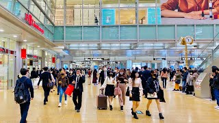 【4K】Japan Walking Tour  Explore The Inside of Nagoya Station ASMR [upl. by Farica363]