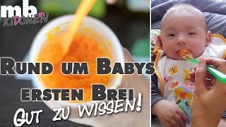 Einführung Babybrei  Wann Wie Warum  Beikost selber kochen  mamiblock kidchen  Der Mami Blog [upl. by Assyla92]