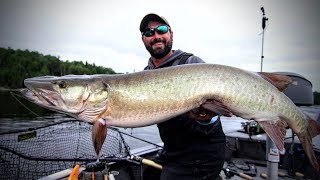 Lac Seul Musky amp Pike – Angling Edge TV [upl. by Oona]