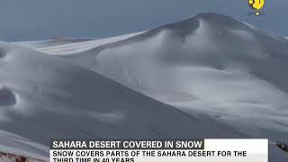 Sahara desert covered in snow [upl. by Puri]