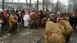 Obiceuri de iarna 2015  Boroaia [upl. by Simonetta]