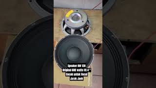 I Bought A 600 Watt Speaker [upl. by Andreas456]