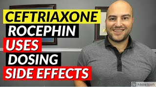 Ceftriaxone Rocephin  Pharmacist Review  Uses Dosing Side Effects [upl. by Allyce]