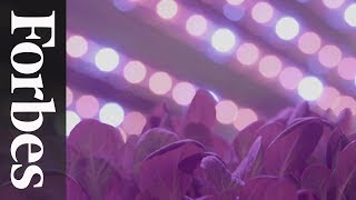 AeroFarms Looks To Feed The World Using Vertical Farming  Forbes [upl. by Virgilia]