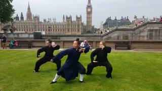 Wudang Tai Chi 36step with Yuan Li Min in London  first part [upl. by Rosaline760]