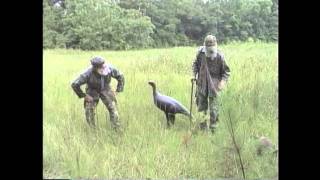 TK and Mike Turkey Hunting Introwmv [upl. by Aiym]