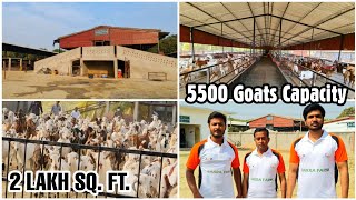 AFK Agronomics LLP Azamgarh  Complete Farm Tour of Indias Biggest Goat Farm [upl. by Ahsinned]