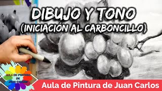 DIBUJO Y TONO Carboncillo para principiantes [upl. by Sension]