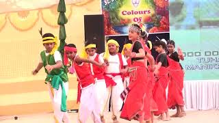 CHATTISGARHI DANCE SJCS KOTMA ANNUAL FUNCTION 2019 [upl. by Asilad604]