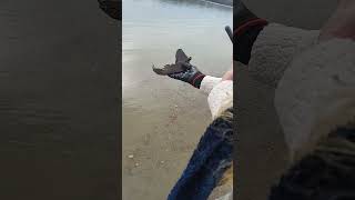 Bear Jaw Bone Missouri River [upl. by Korney]