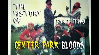 Center Park Bloods Part 2 The Coolie Cools [upl. by Elna]