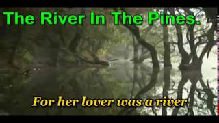 The River In The Pines  Joan Baez [upl. by Orville295]