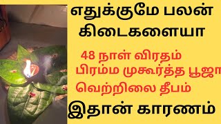 48 நாள் விரதம் பிரம்ம முகூர்த்தம்  வெற்றிலை தீபம் எதுக்குமே முருகன் பலன் கிடைகளையா [upl. by Akiret]