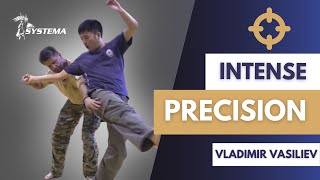 Intense precision Systema Russian Martial Art by Vladimir Vasiliev in Tokyo [upl. by Hyland865]