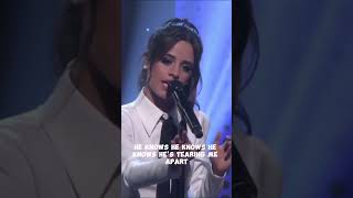 Shawn Mendes amp Camila Cabello  I Know What You Did Last Summer [upl. by Lydell]