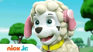 Nursery Rhyme Songs for Kids  Stay Home WithMe  Music  Nick Jr [upl. by Pals]