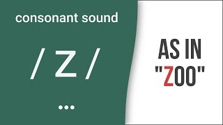 Consonant Sound  z  as in quotzooquot – American English Pronunciation [upl. by Ahseiyn]