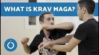 What is Krav Maga [upl. by Coryden]