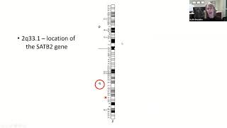 SATB2 Genetics 101 [upl. by Neelcaj373]