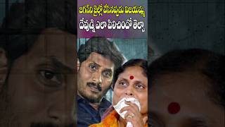 కొడుకు కోసం విజయమ్మ ఏడుస్తూ  Vijayamma Emotional Pray for Her Son YS Jagan  Cine Megham [upl. by Adelaida]