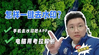 怎样去除视频水印？这2个方法你一定要知道，免费又好用 [upl. by Magda]