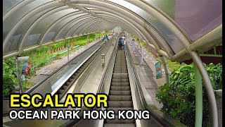 4K 2nd Longest Escalator in the World Ocean Park HONG KONG [upl. by Woodie]