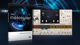 MOLEKULAR Native Instruments  First Look [upl. by Katsuyama740]