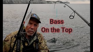 Bass fishing with Top Water Lures on a Sussex reef [upl. by Cired816]