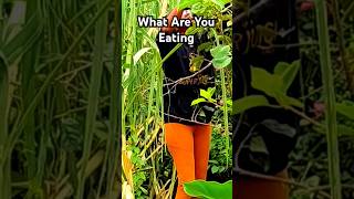 What Are You Eating ‼️gardening zone9 youtubeshorts tnog511 [upl. by Cannon]