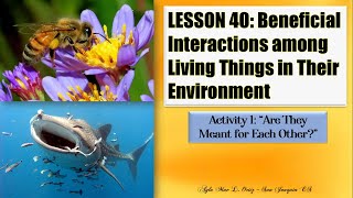 SCIENCE IV  Lesson 40 Beneficial Interactions among Living Things in Their Environment [upl. by Aihsyla979]